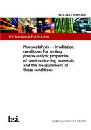 BS PD CEN/TS 16599 PDF