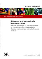 BS PD CEN/TS 13286-54 PDF