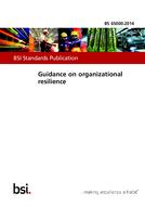 BS 65000:2014 PDF