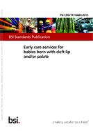 BS PD CEN/TR 16824 PDF