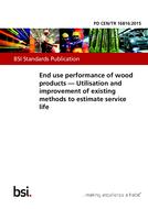 BS PD CEN/TR 16816 PDF