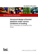 BS PD CEN/TR 1295-4 PDF