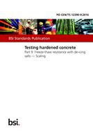 BS PD CEN/TS 12390-9 PDF