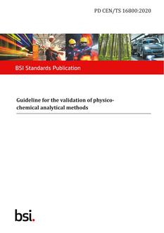 BS PD CEN/TS 16800 PDF