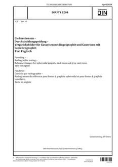 DIN /TS 8204 PDF