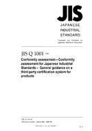 JIS Q 1001:2009 PDF