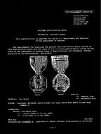 MIL MIL-D-3943/16C PDF