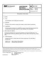 SAE AMS3751B PDF
