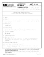 SAE AMS3797/6B PDF