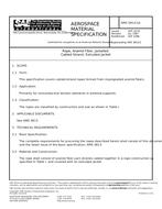 SAE AMS3813/1A PDF