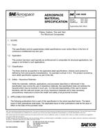 SAE AMS3892B PDF
