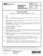 SAE AMS3894/12A PDF