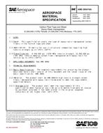 SAE AMS3894/16A PDF