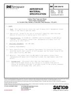 SAE AMS3894/1B PDF