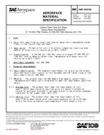 SAE AMS3894/5B PDF