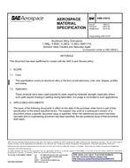 SAE AMS4161G PDF