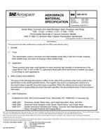 SAE AMS5671G PDF