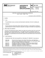 SAE AMS5789D PDF