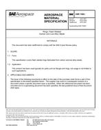SAE AMS7496J PDF
