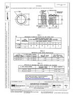SAE AS1541A PDF