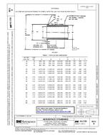 SAE AS1720B PDF