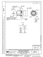 SAE AS3273 PDF