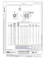 SAE AS3545 PDF