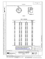 SAE AS3581 PDF