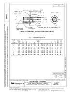 SAE AS4217 PDF