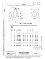 SAE AS4320 PDF