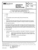 SAE AMS4319B PDF