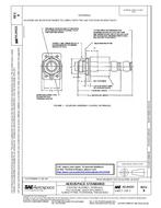 SAE AS24333B PDF