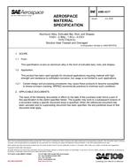 SAE AMS4317 PDF