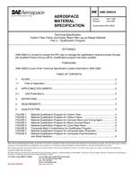 SAE AMS2980/2A PDF