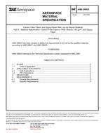 SAE AMS2980/5 PDF