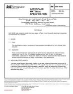 SAE AMS5606E PDF