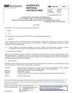 SAE AMS4144F PDF