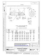 SAE AS1100C PDF