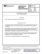 SAE AMS7713B PDF