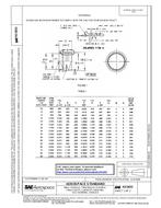 SAE AS5833 PDF