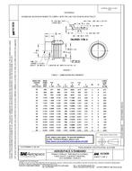 SAE AS5838 PDF