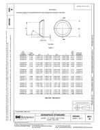 SAE AS3484B PDF
