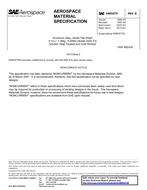 SAE AMS4270B PDF