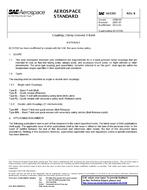 SAE AS5355B PDF