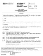 SAE AMS3819C PDF