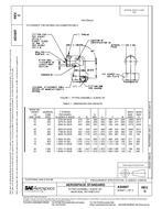 SAE AS4807C PDF