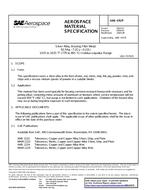 SAE AMS4767F PDF