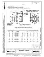 SAE AS21900C PDF