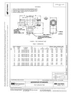 SAE AS21905C PDF