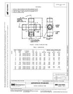 SAE AS21906C PDF